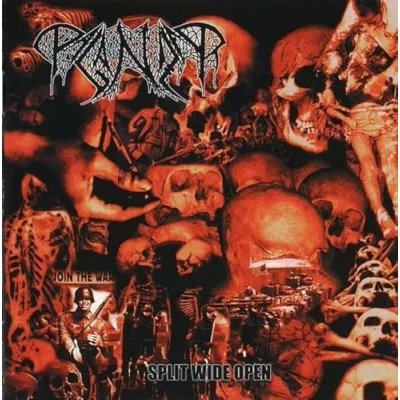 Afbeelding van Paganizer Split Wide Open (CD)