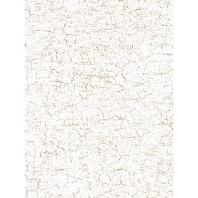 Afbeelding van Décopatch 444 kartonnen papier, 395 x 298 mm, ideaal voor je papier maché, craquelé wit, 20 vellen