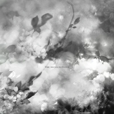 Afbeelding van Exitmusic The Recognitions (CD)