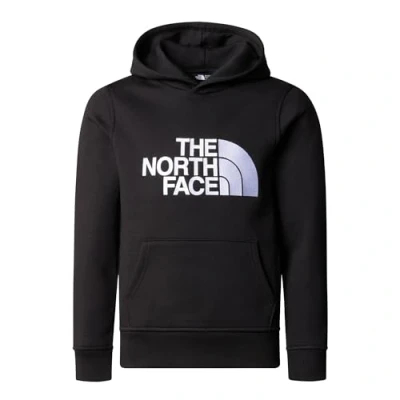Afbeelding van The North Face Drew Peak Hoodie voor kinderen en tieners