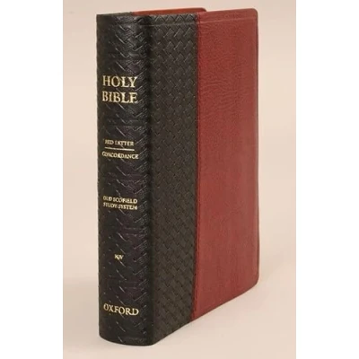 Afbeelding van The Holy Bible