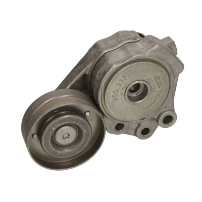 Afbeelding van Ina Spanner poly V riem 534 0374 10