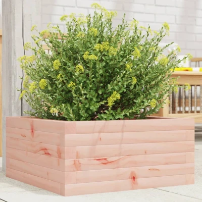 Afbeelding van Plantenbak 50x50x23 cm massief douglashout