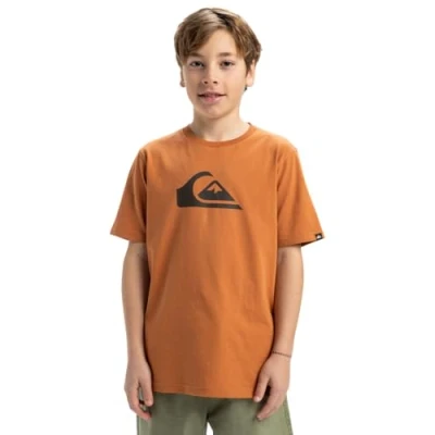 Afbeelding van Quiksilver LOGO Unisex Tshirt print, Maat: 176, Bran