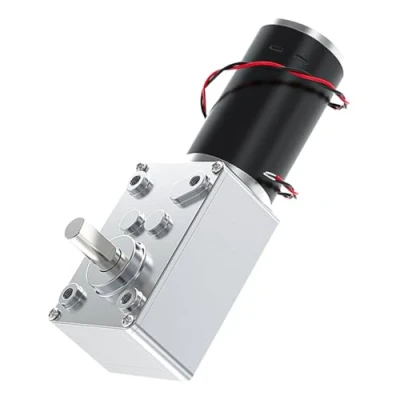 Afbeelding van DeWin Transmissiemotor elektrische versnellingsbakmotor met snelheidsreductie, omkeerbare turbo wormmotor hoog koppel, 8 mm as (12 V, 20 rpm)