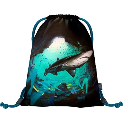 Afbeelding van Baagl Gymtas voor meisjes, sporttas kinderen, tieners, school en sport, schoenentas Earth Sportsack, grijs.
