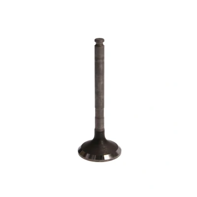 Afbeelding van Uitlaatklep FRECCIA R6120/RNT
