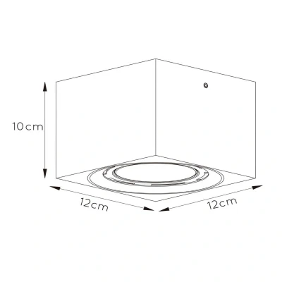 Afbeelding van Lucide FEDLER Plafondspot LED Dim to warm GU10 (ES111) 1x12W 2200K/3000K Wit
