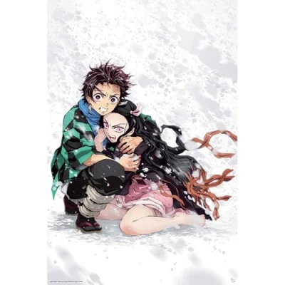 Afbeelding van Poster Demon Slayer Tanjiro &amp; Nezuko Snow 61x91,5cm
