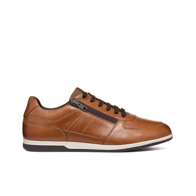 Afbeelding van Geox U Renan B Sneakers voor heren, Bruine cotto, 41 EU