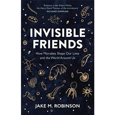 Afbeelding van Invisible Friends