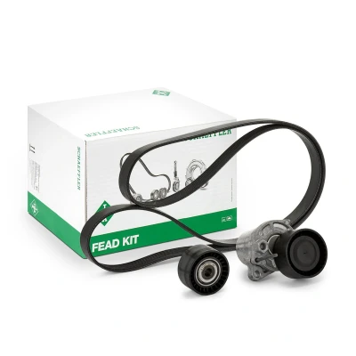 Afbeelding van Poly V riem set INA 529 0247 10