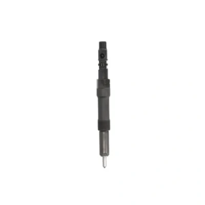 Afbeelding van DELPHI R00504Z Verstuiverhouder