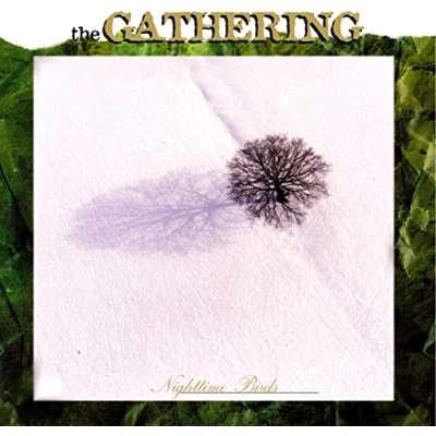 Afbeelding van The Gathering Nighttime Birds (CD)