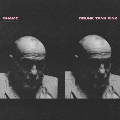 Afbeelding van Shame Drunk Tank Pink (CD)