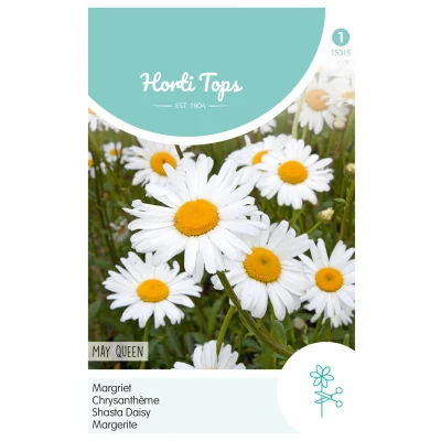 Afbeelding van Chrysanthemum leucanthemum May Queen Buzzy