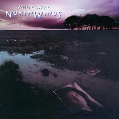 Afbeelding van Whitesnake: Northwinds (Limited) (Black Ice) [Winyl]