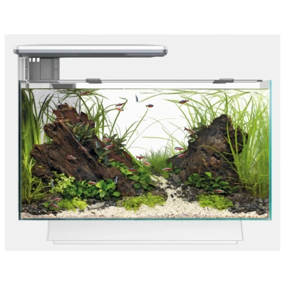 Afbeelding van Superfish Quadro 40 Multi Colour Wit