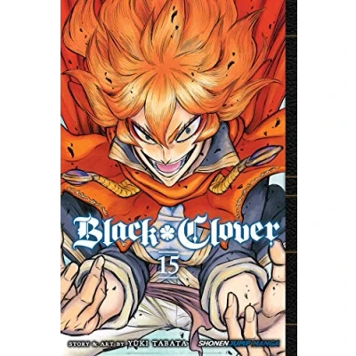 Afbeelding van Black Clover, Vol. 15