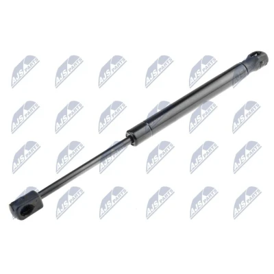 Afbeelding van NTY AE HY 025 Gasveer achterklep 500 298