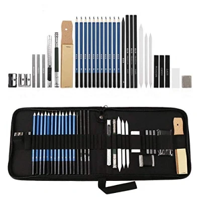 Afbeelding van Lypumso Schets Tekenpotlood, Professionele Kunstenaar Potloodset en Houtskool Grafietstok, Houtpotlood, Geschikt voor Beginners Kunstenaars (33 stuks)