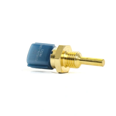 Afbeelding van Temperatuursensor DELPHI TS10248 12B1