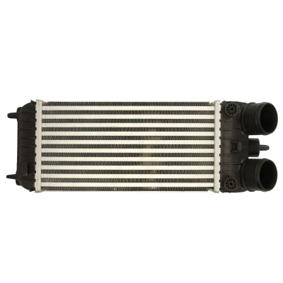 Afbeelding van THERMOTEC DAP007TT Intercooler NISSAN: Patrol GR 5 SUV, PEUGEOT: 207 Hatchback, CC