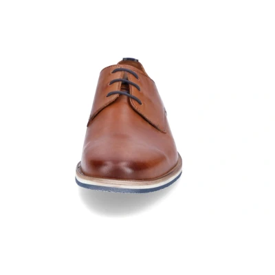 Afbeelding van Lloyd Dakin Veterschoenen, Heren, Maat: 40, Braun Leer