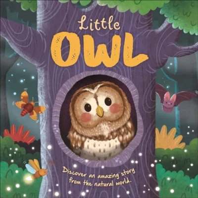 Afbeelding van an illustrated story about the life cycle of Owl Little