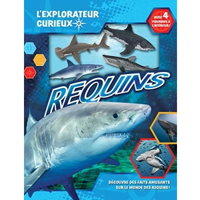 Image de Requins