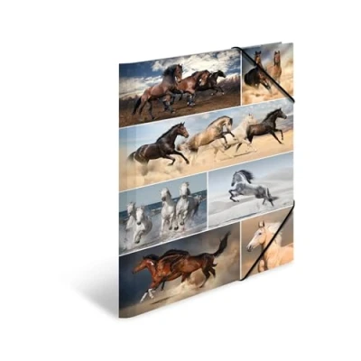 Image de HERMA Chemises à élastique Animaux avec motif Chevaux, A3, carton robuste, impression intérieure, 1 porteé de chemise