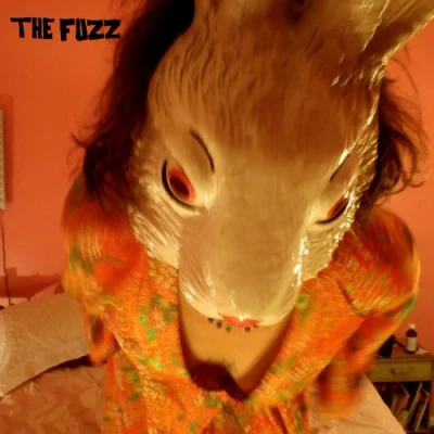 Afbeelding van The Fuzz (CD)