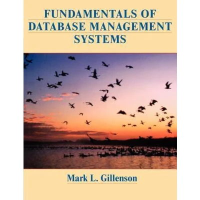 Afbeelding van Fundamentals of Database Management Systems