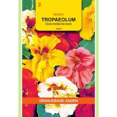 Afbeelding van Tropaeolum oost indische kers jewel dubbelbloemig gemengd