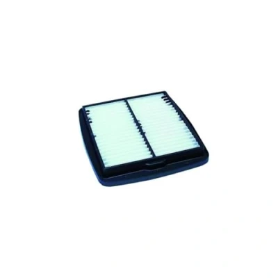 Afbeelding van Luchtfilter HIFLO HFA3605