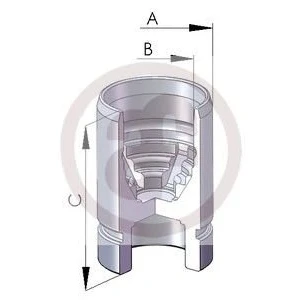 Afbeelding van AUTOFREN SEINSA D02589 Zuiger, remklauw 30 Achteras