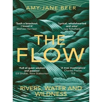 Image de The Flow