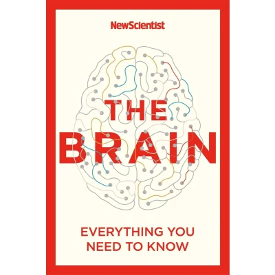 Afbeelding van The Brain