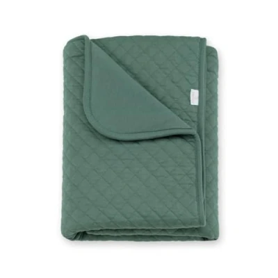 Afbeelding van BEMINI Deken 75x100cm TOG 3 Pady quilted + jersey Green