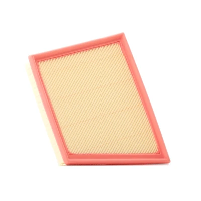 Afbeelding van Filtron Luchtfilter AP 193/8