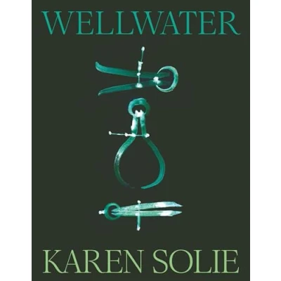 Afbeelding van Wellwater