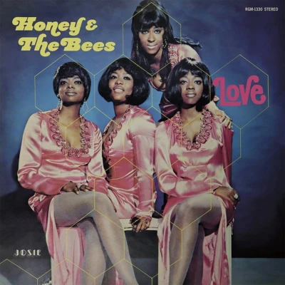 Afbeelding van Honey &amp; the Bees Love (LP)