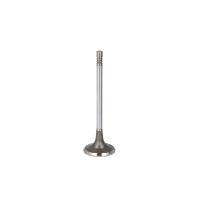 Afbeelding van FRECCIA R6713/SCR Inlaatklep 30,1 Verchroomde klepsteel, Klepsteeleind gehard FORD: Focus 2, C Max 2