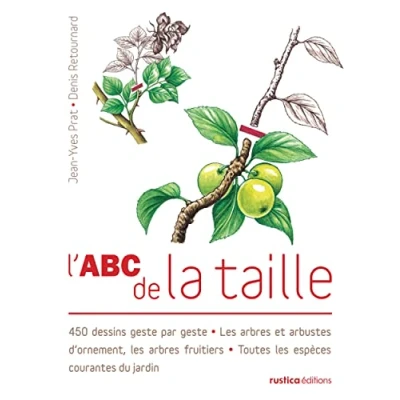 Afbeelding van L&#039;abc de la taille