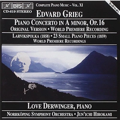 Afbeelding van Love Derwinger, Nörrkoping Symphony Orchestra, Jun&#039;ichi Hirokami Grieg: Piano Concerto In A Minor, Op. 16 (CD)