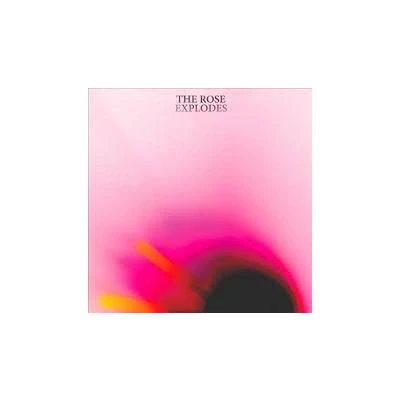 Afbeelding van Dream Boat Rose Explodes