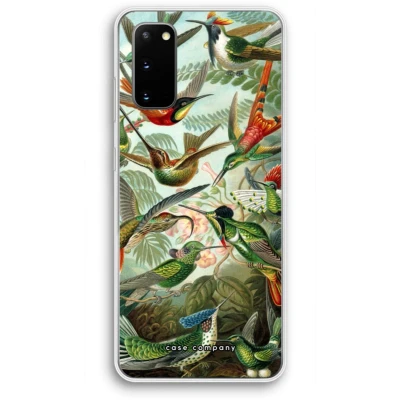 Afbeelding van Case Company® hoesje geschikt voor Samsung Galaxy S20 Haeckel Trochilidae Soft Cover Telefoonhoesje Bescherming aan alle Kanten en Schermrand