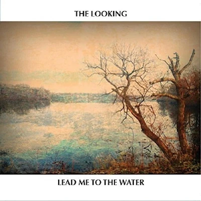 Afbeelding van Looking Lead Me To The Water (CD)
