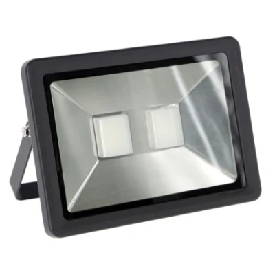Afbeelding van Buitenlamp led 100 watt