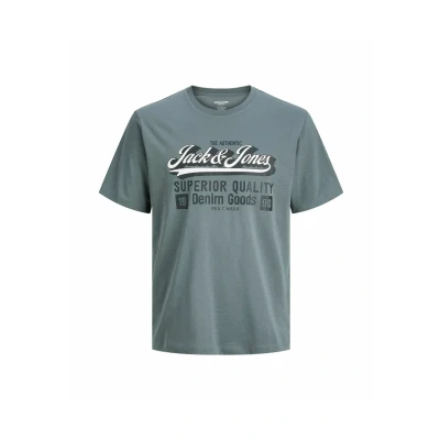 Afbeelding van JACK&amp;JONES JJELOGO TEE SS ONECK 2 COL AW25 NOOS PLS Heren T shirts